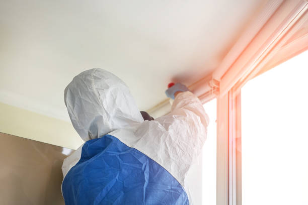 Reliable Stillman Valley, IL Mold Removal Services Solutions